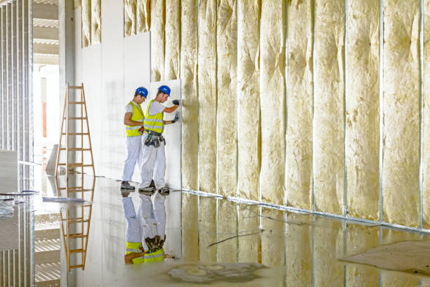 Professional Insulation Contractor in IN